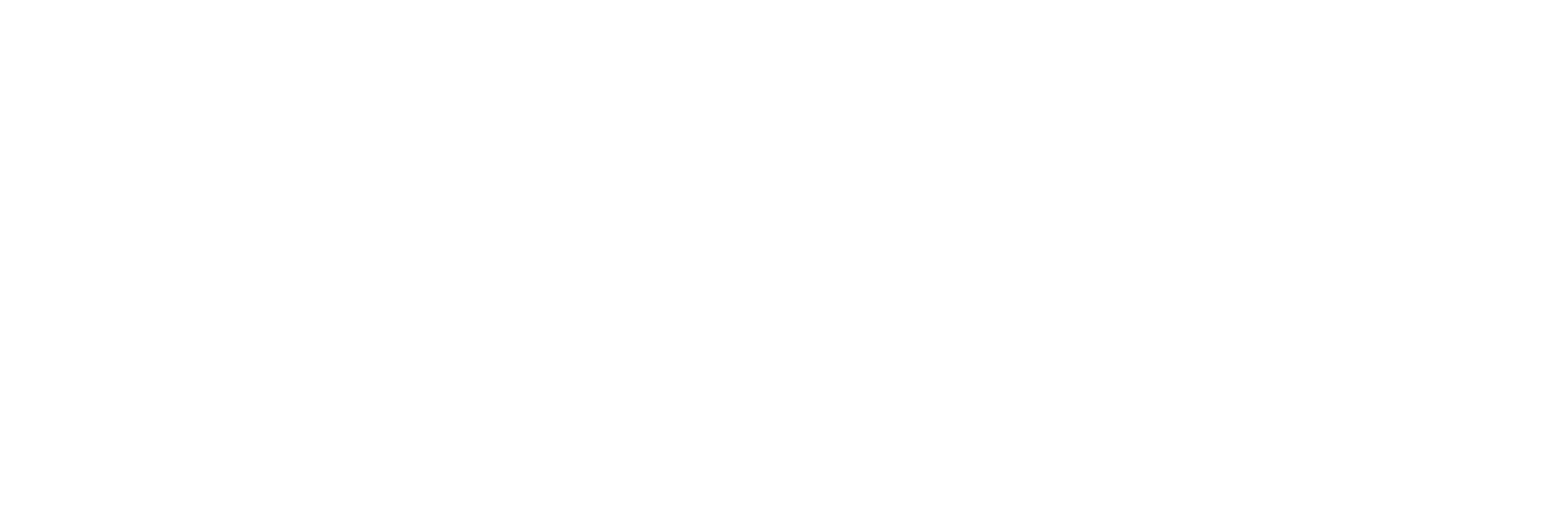 logo main